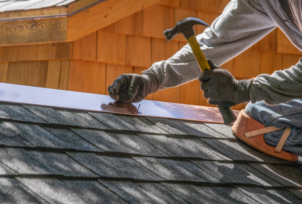 Best Gutter Installation and Repair  in Cedar Grove, FL