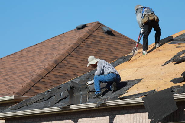 Best Metal Roofing Installation  in Cedar Grove, FL