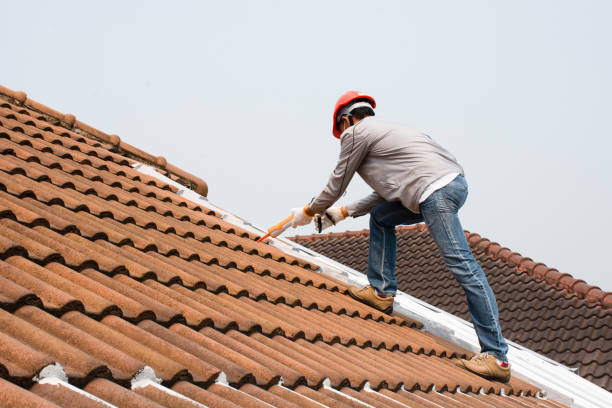 Best Roof Maintenance and Cleaning  in Cedar Grove, FL