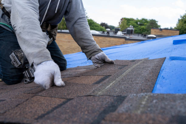 Best Green or Eco-Friendly Roofing Solutions  in Cedar Grove, FL